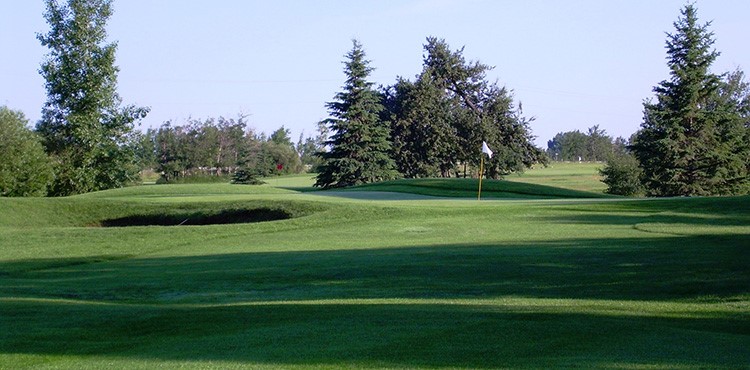 Apprentice/Associate: Cardiff Golf & Country Club