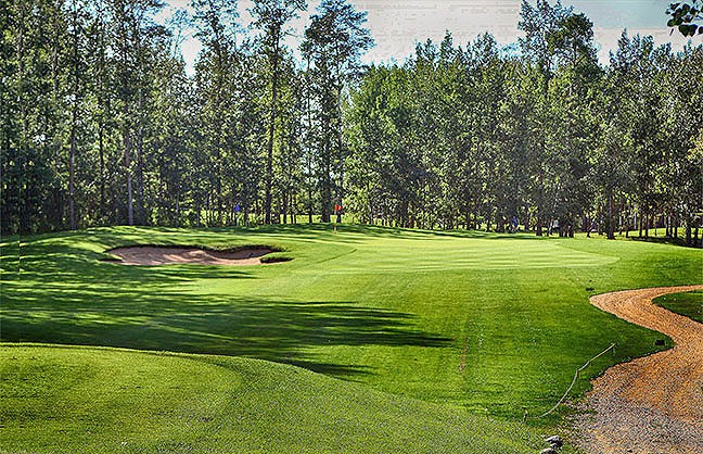 Assistant Golf Professional: Lakewood Golf Resort
