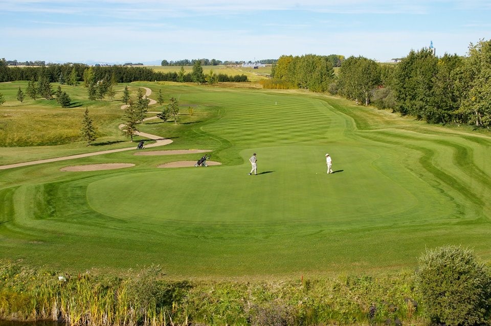 Assistant Professional: Olds Golf Club