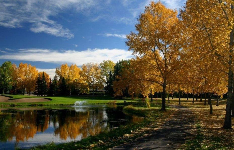 Assistant/Associate Golf Professional:  Silver Springs Golf & Country Club  - Calgary, AB