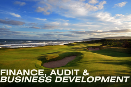 Finance & Audit/Business Development