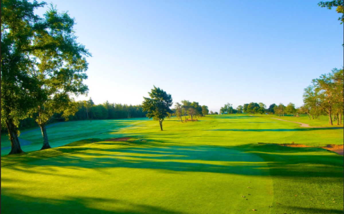 Director of Golf Operations & Facility: Lingan Golf Club
