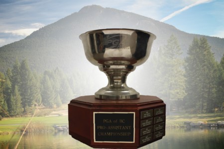 Pro-Assistant Championship