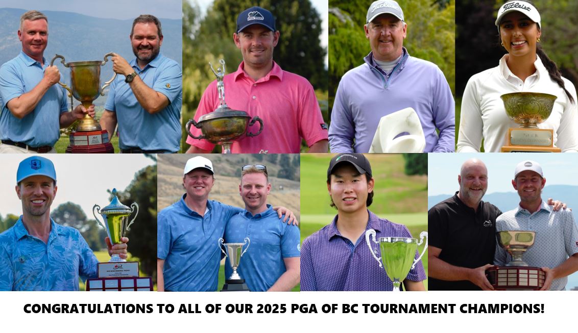 Professional Development