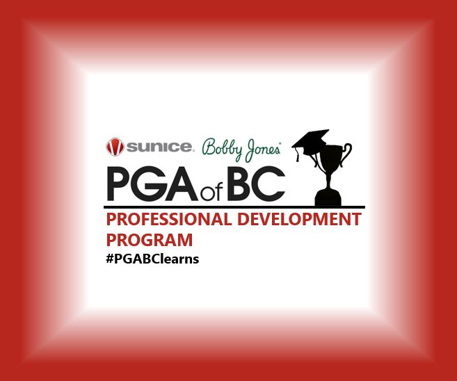 Professional Development Program