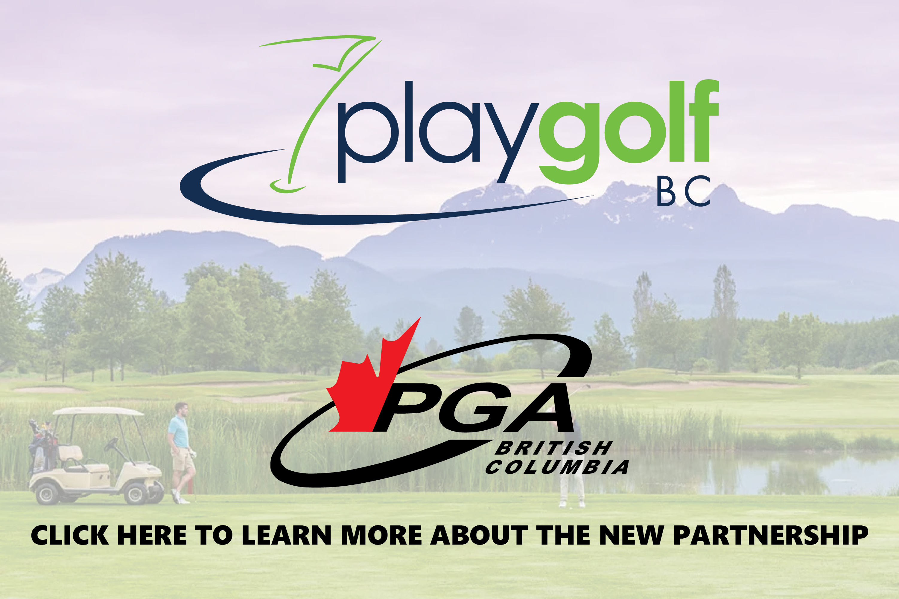 Professional Development