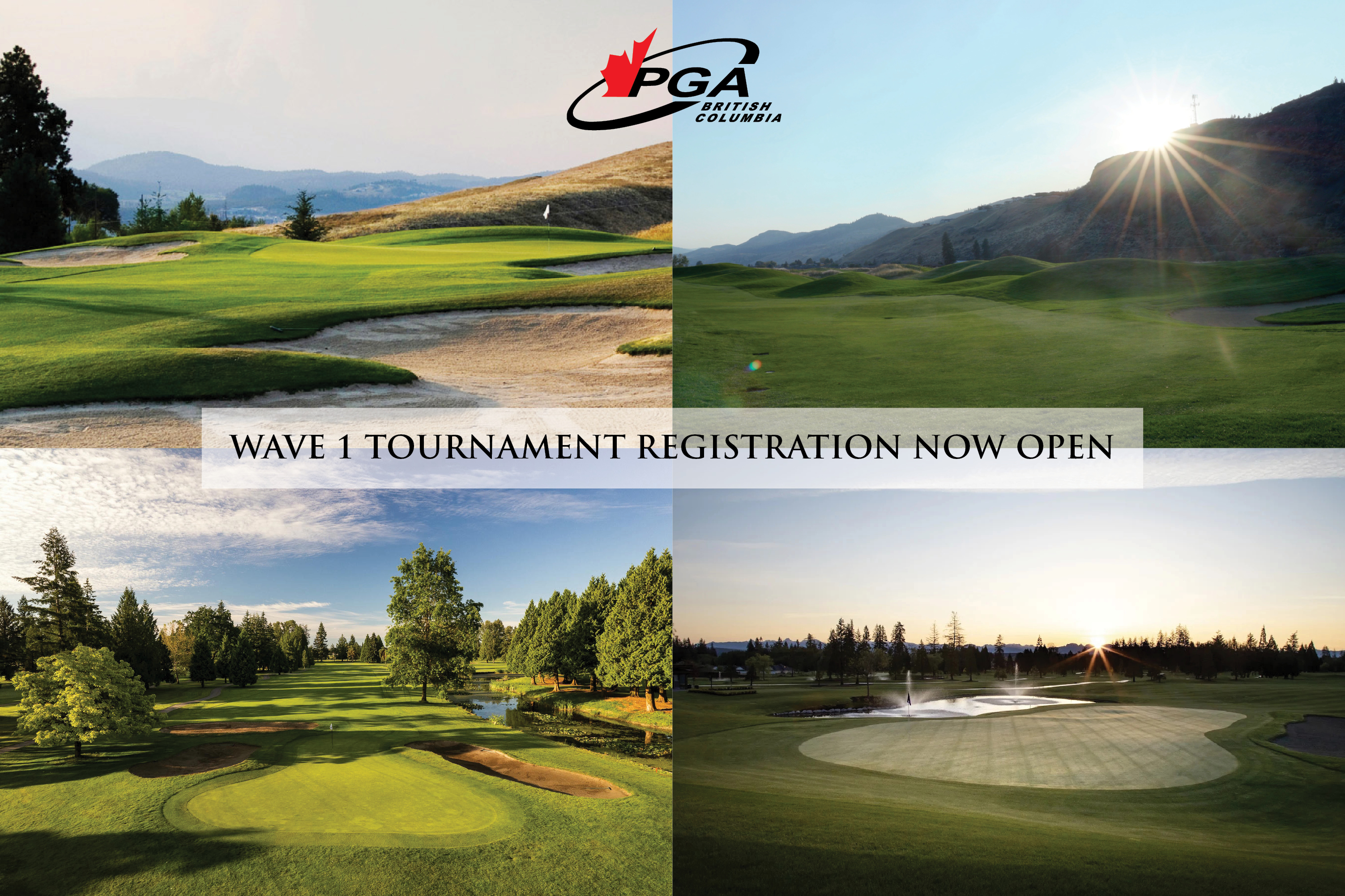 Professional Development