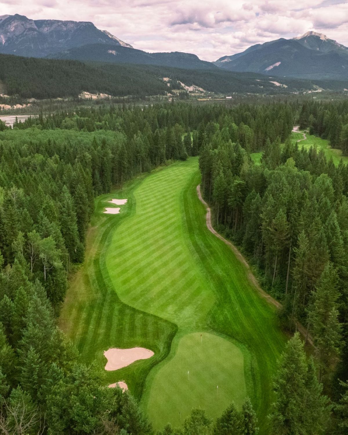 Assistant/Apprentice Professional: The Golden Golf Club