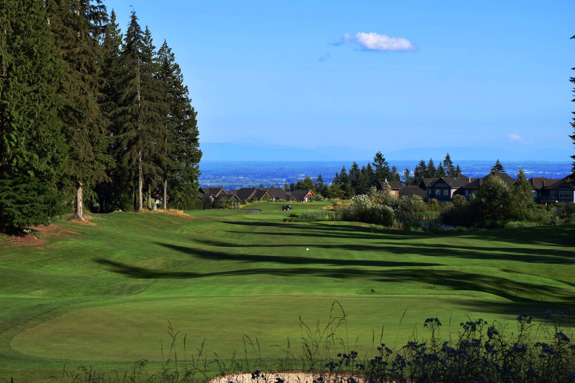 Teaching Professional: Greentee Golf Academy (Richmond, Coquitlam and Langley)