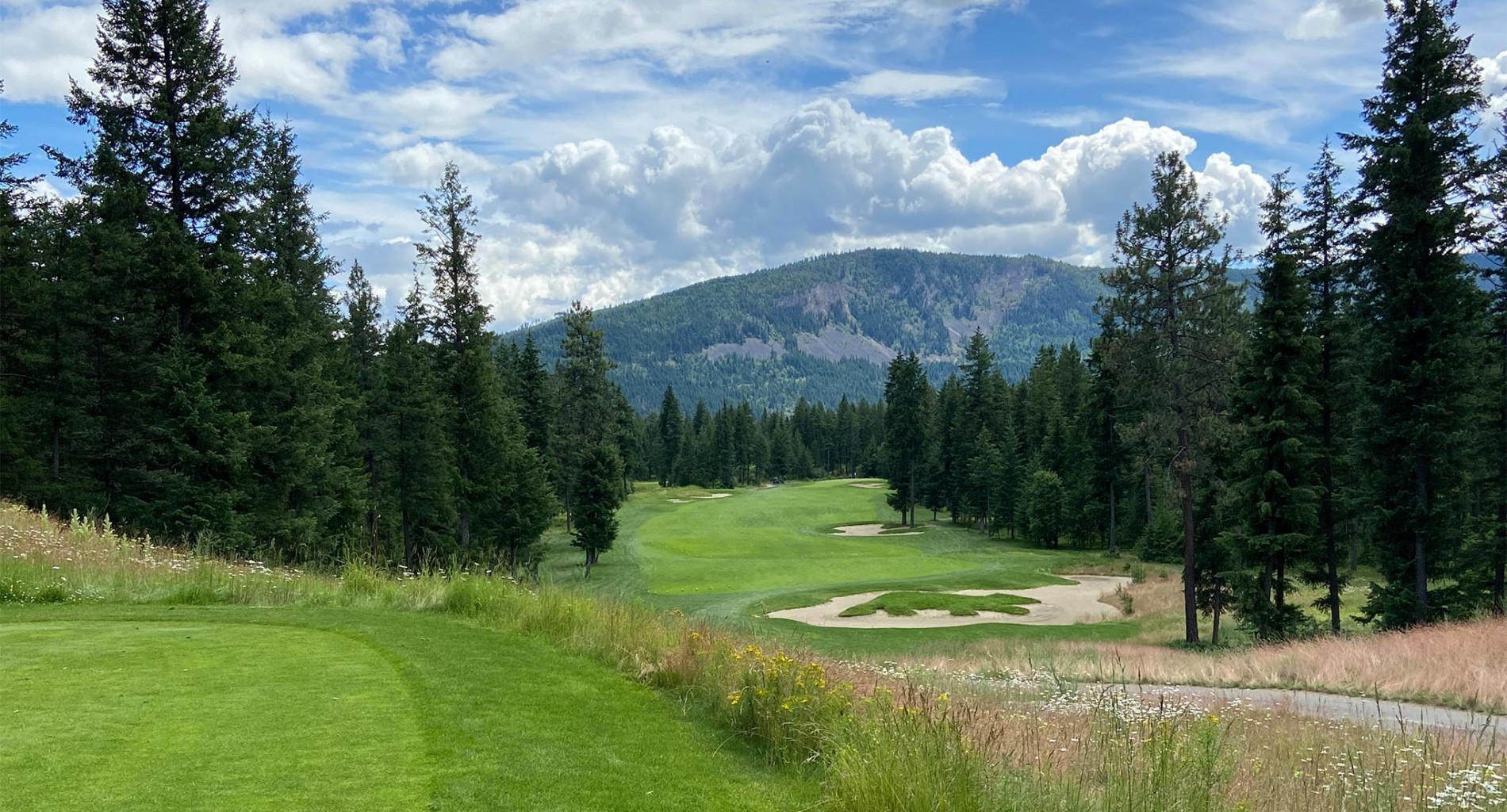 General Manager / Head Professional: Shuswap Lake Golf Course