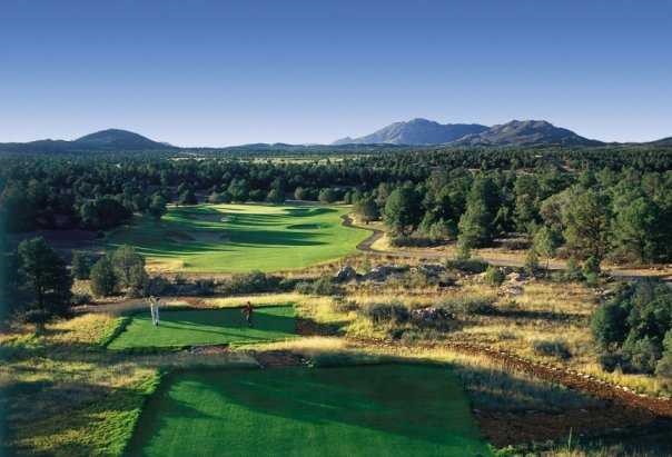 Head Golf Professional: Talking Rock Golf Course