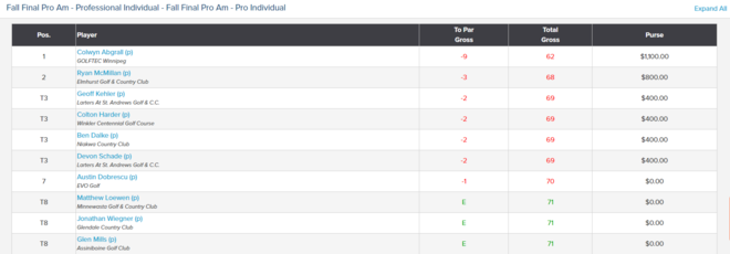 Individual Professional Division