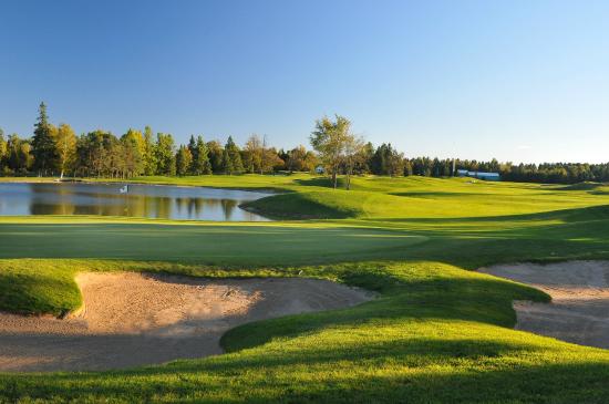 Apprentice/Assistant/Associate Golf Professional: Canadian Golf & Country Club