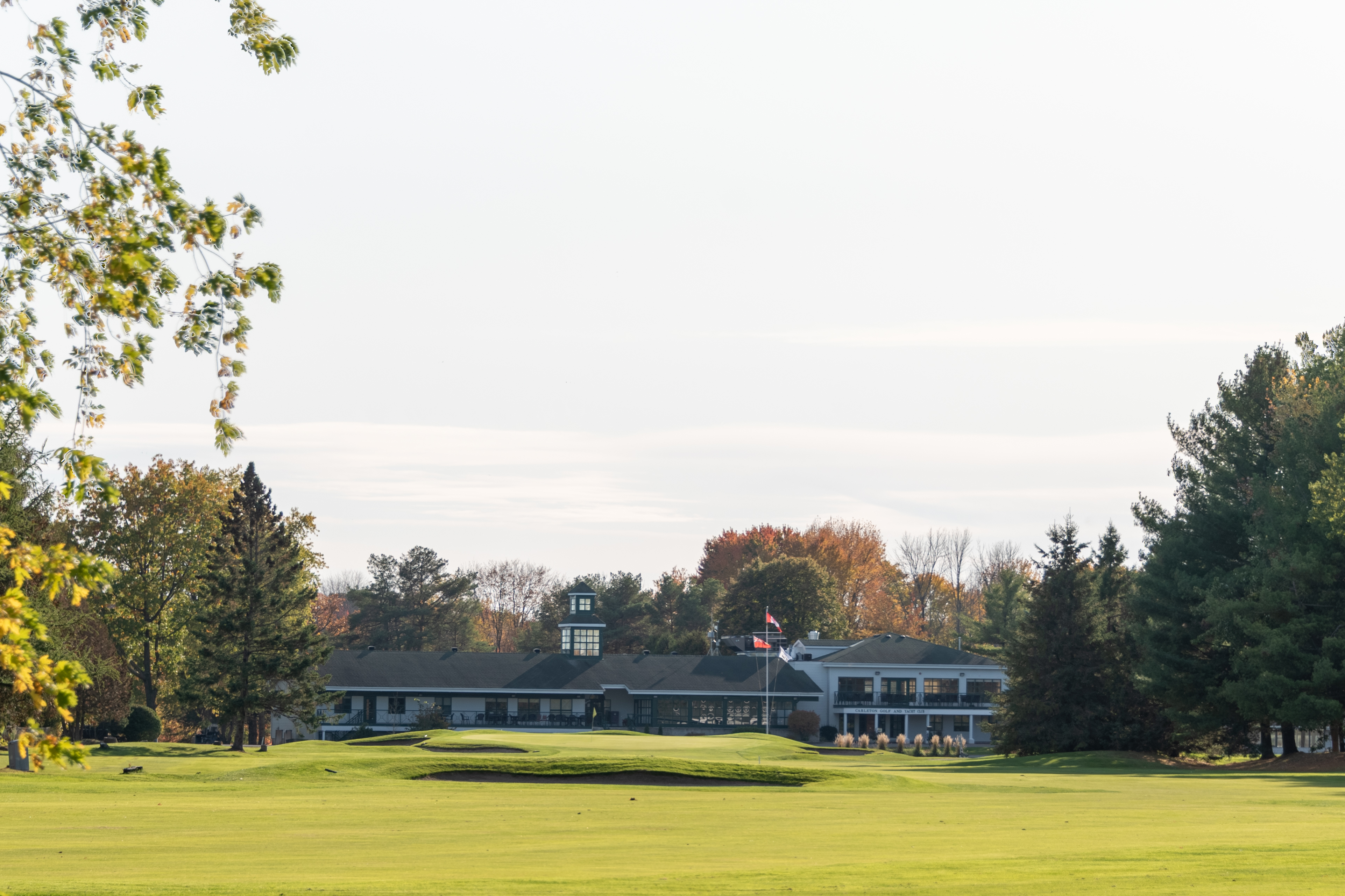 Head Golf Professional: Carleton Golf & Yacht Club