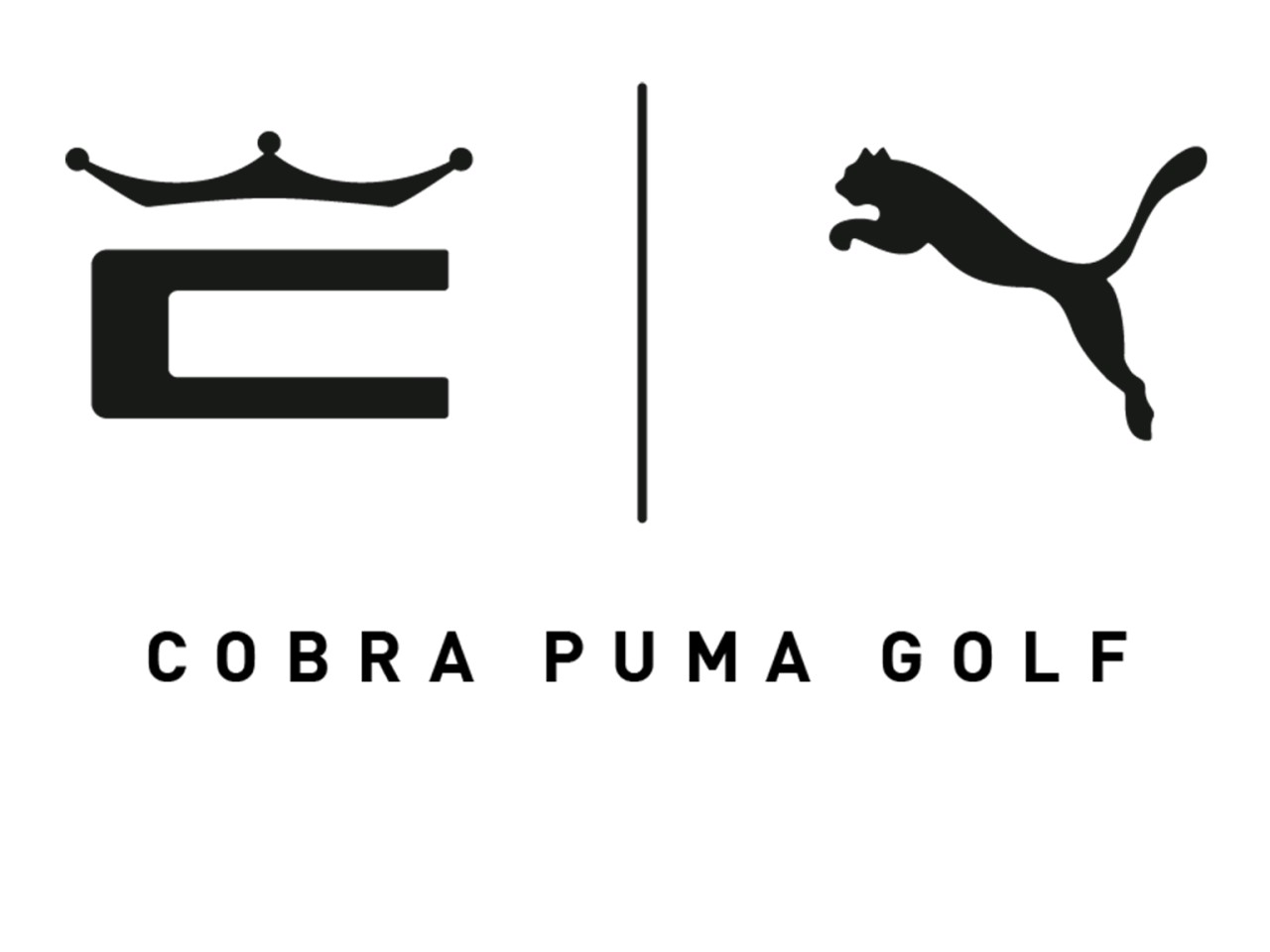 Sales Representative (Contractor): Cobra Puma Golf
