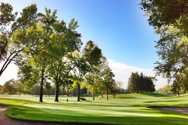 HEAD PROFESSIONAL: HUMBER VALLEY GOLF COURSE