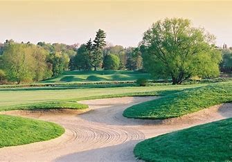 Assistant Tournament Coordinator: Lionhead Golf Club