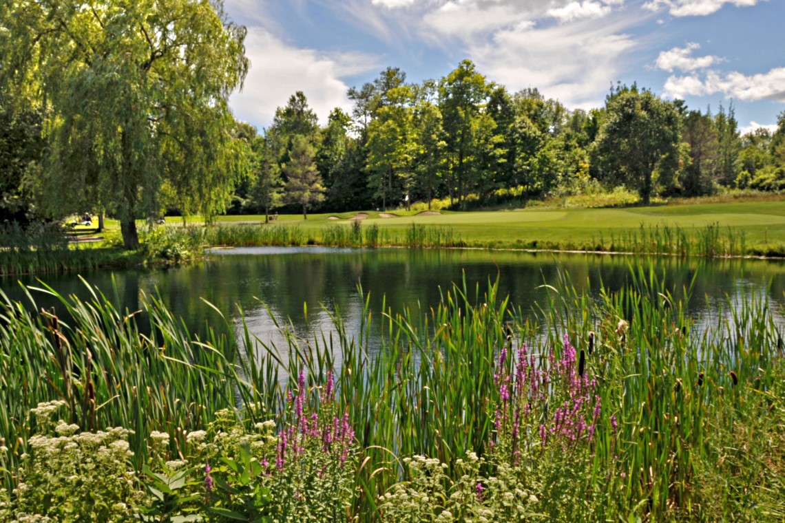 Professionnel de golf associé: Professionnel associé - PGA of Ontario