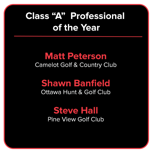 03 - Class A Professional of the Year