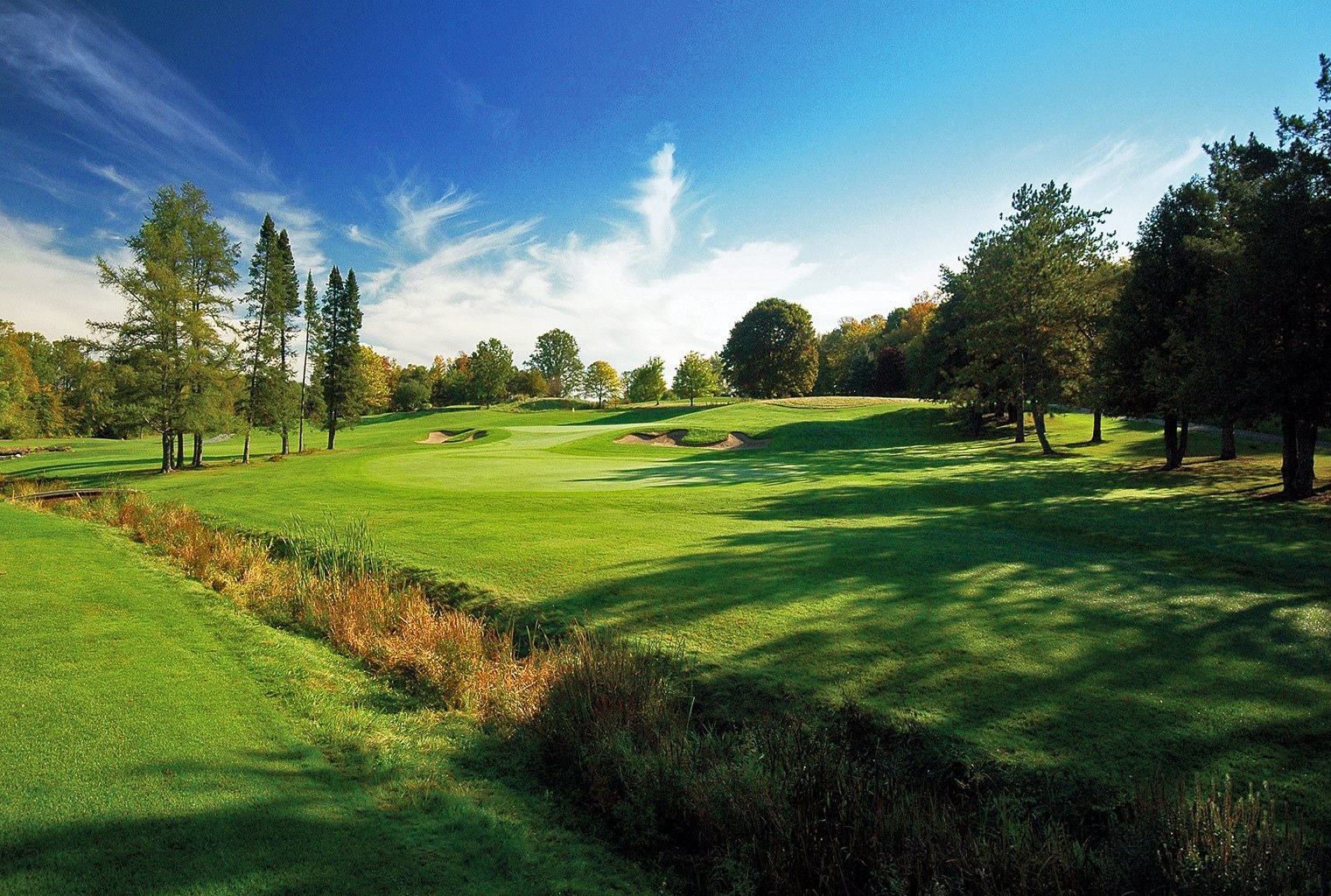 Fall Open