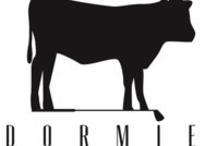 Dormie Workshop