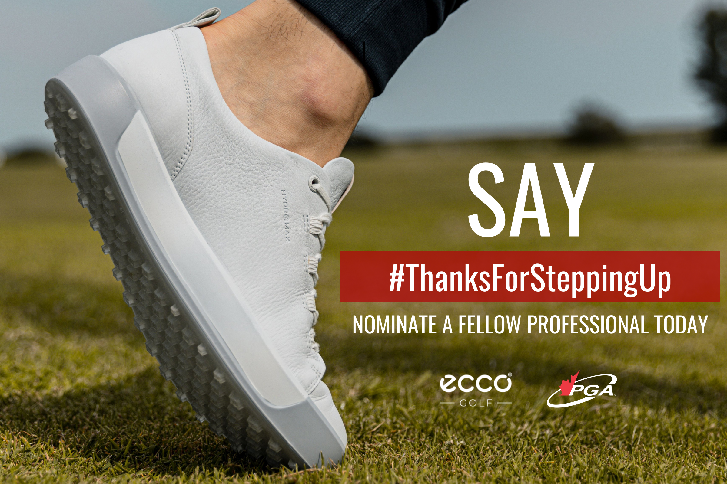 Ecco shoes ottawa canada Clearance