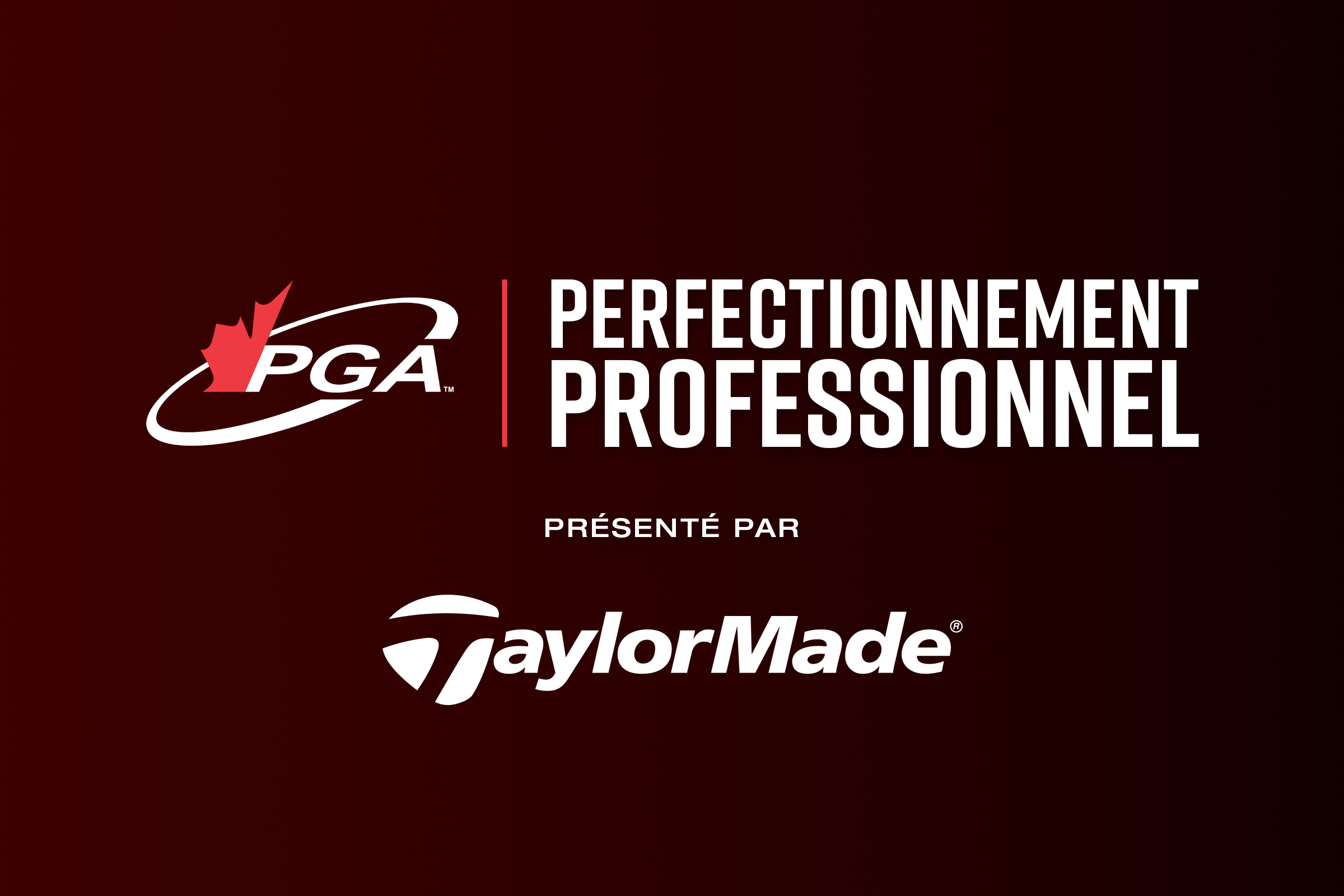 Perfectionnement professionnel