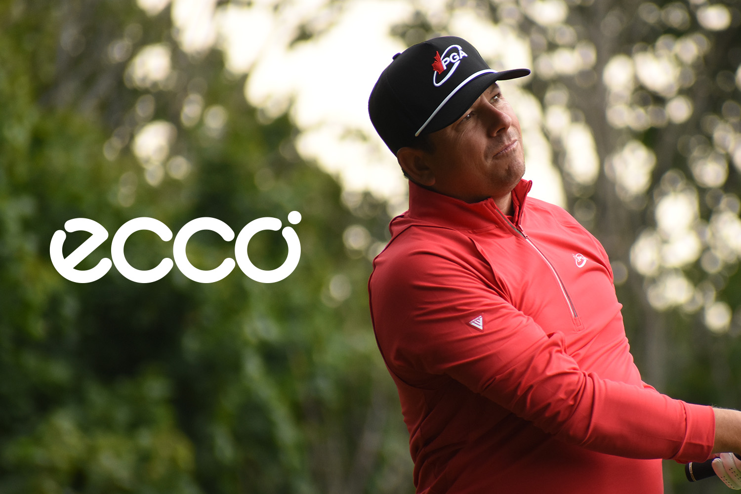 Player Rankings Supported by ECCO®