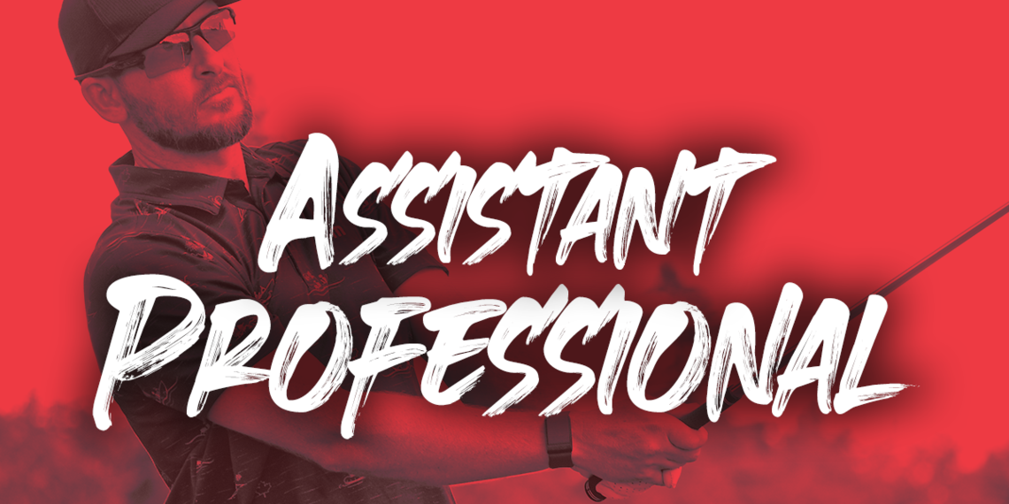 Assistant Professional