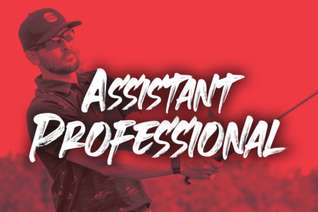 Assistant Professional