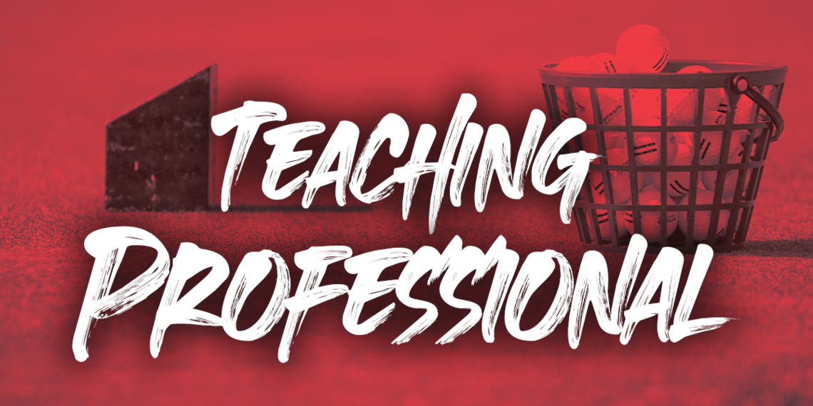 Teaching Professional