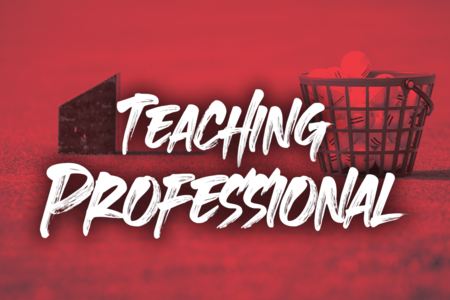 Teaching Professional