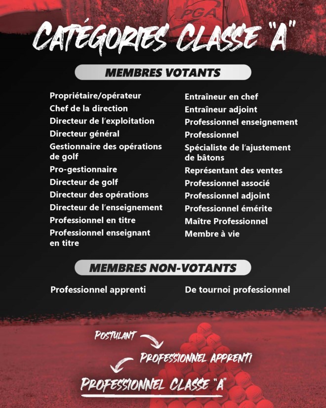 FR New Membership Categories_JPG_Page_2