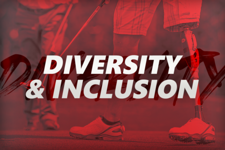 Inclusion, Diversity, Equity & Accessibility (IDEA)