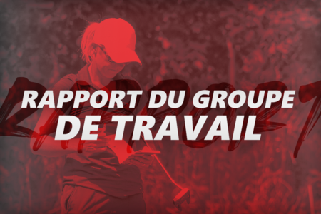 Rapport du Groupe de travail