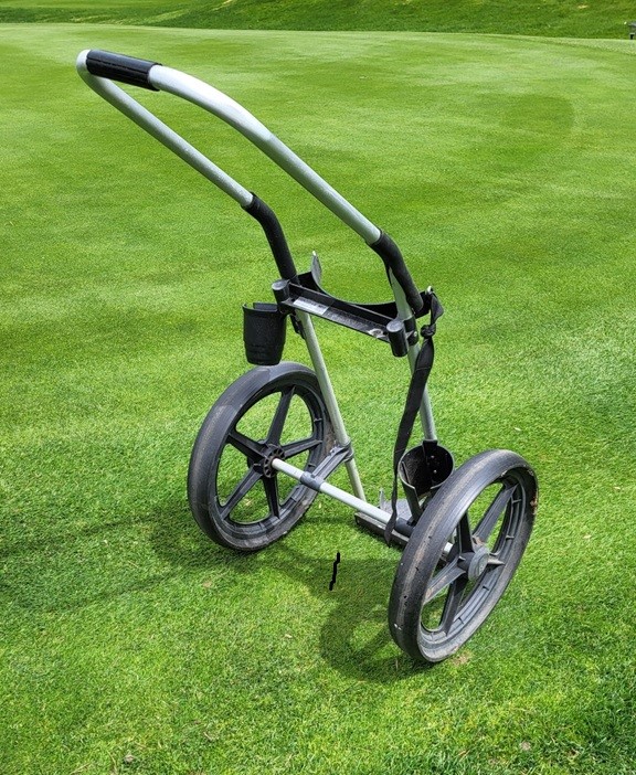 30 Riksha Pull Carts