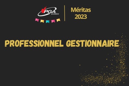 Professionnel gestionnaire