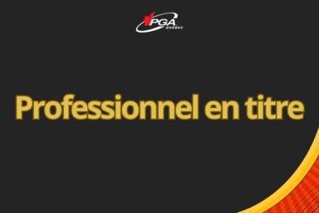 Professionnel en titre