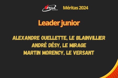 Leader junior de l'année