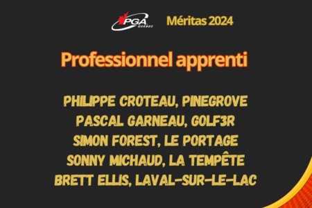 Professionnel apprenti