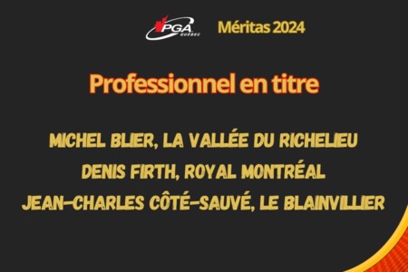 Professionnel en titre