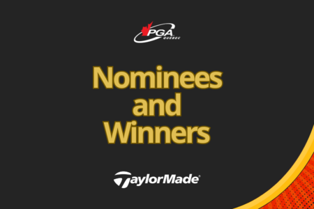 Nominees and Winners