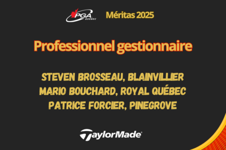 Professionnel gestionnaire