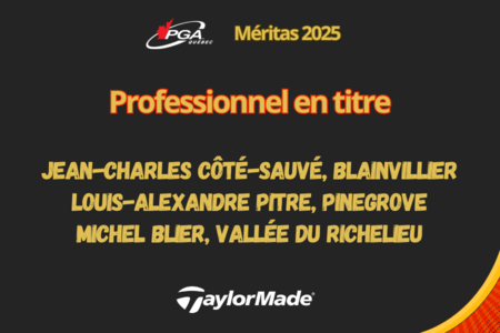 Professionnel en titre