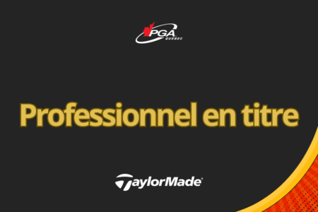 Professionnel en titre