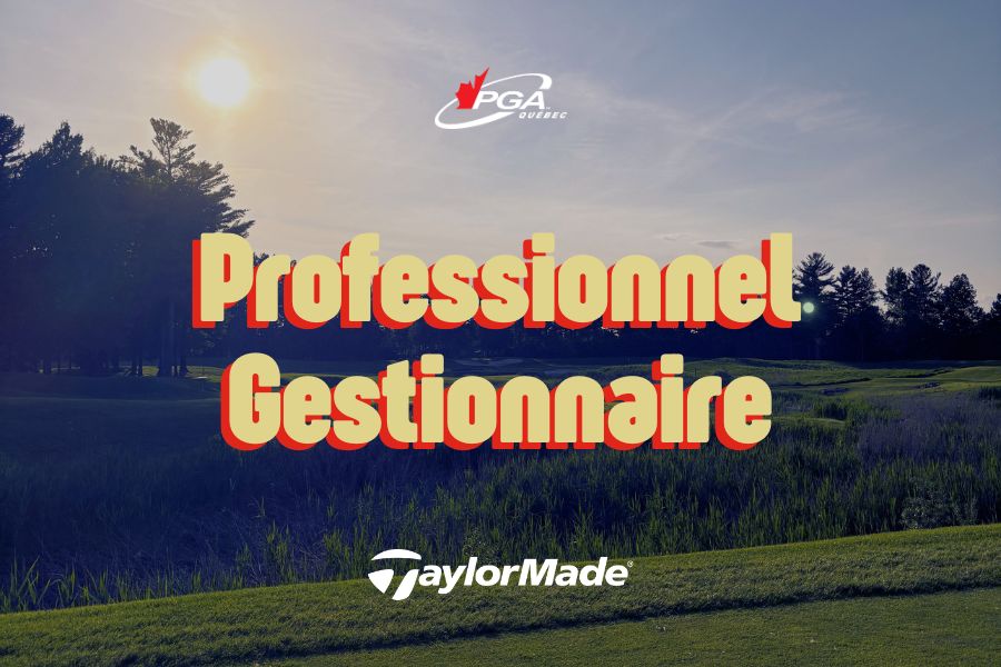 Professionnel gestionnaire