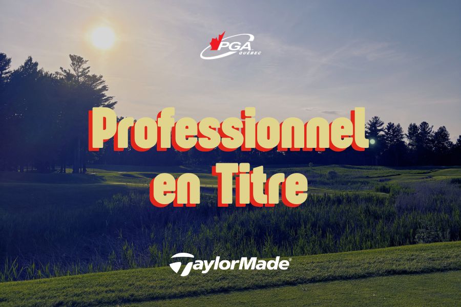 Professionnel en titre