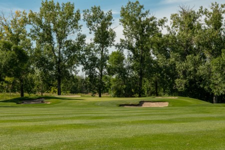 PING Pro Junior