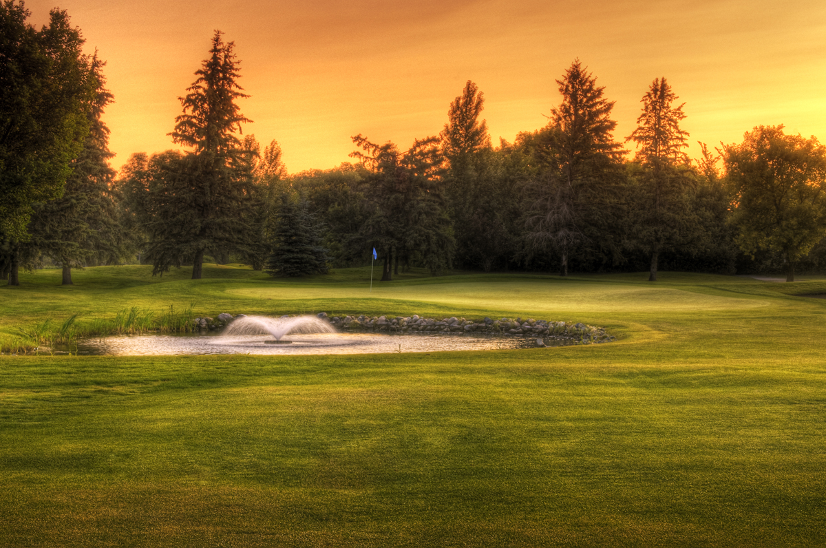 Head Golf Professional: Holiday Park Golf Course
