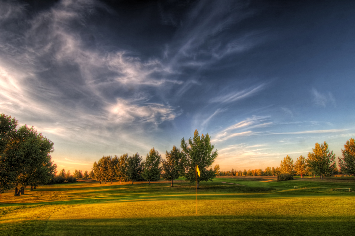 Head Golf Professional: Wildwood Golf Course